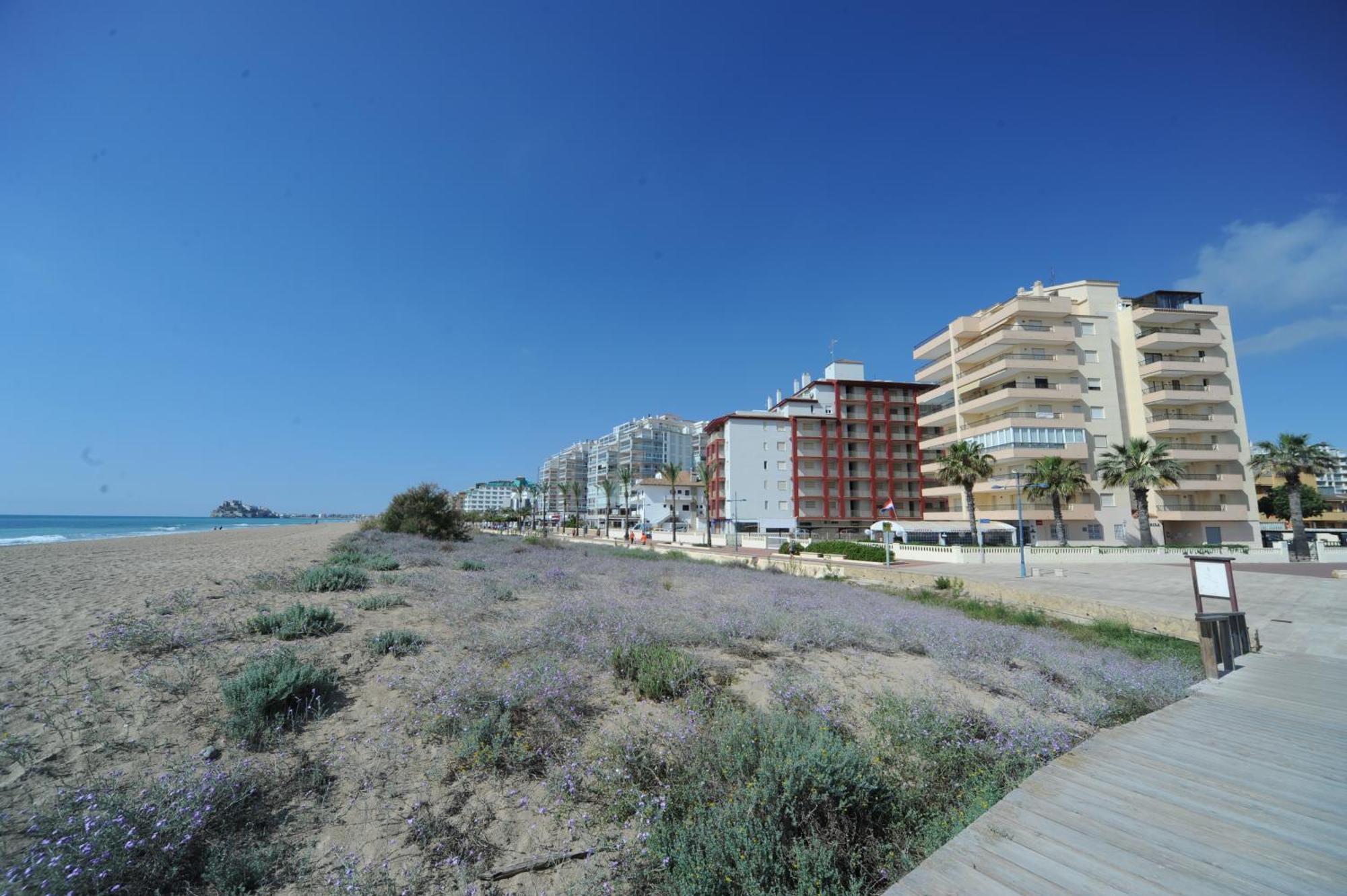 דירות Peñíscola Marina Vistamar Orangecosta מראה חיצוני תמונה